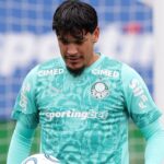 Palmeiras