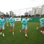 palmeiras