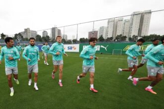 palmeiras