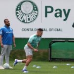 Palmeiras