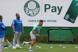 Palmeiras