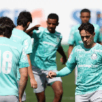 Palmeiras
