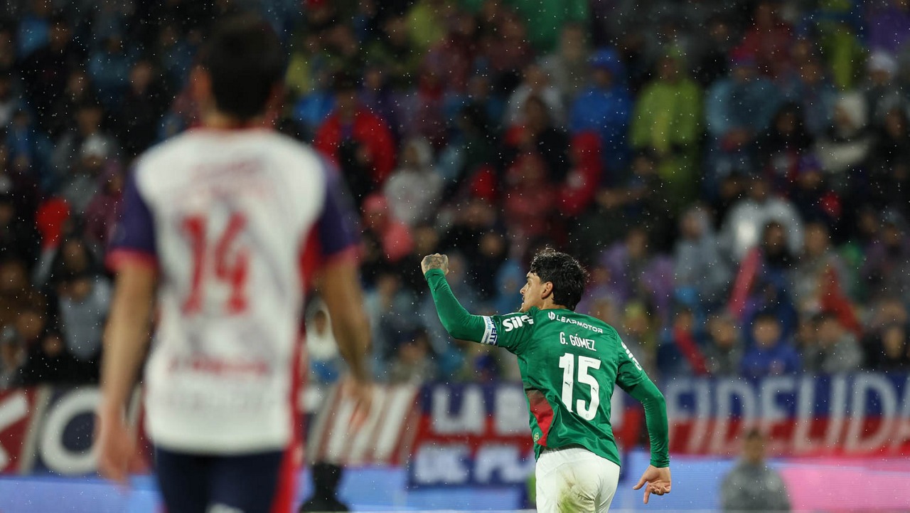 palmeiras