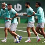 palmeiras