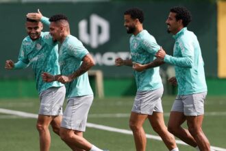 palmeiras