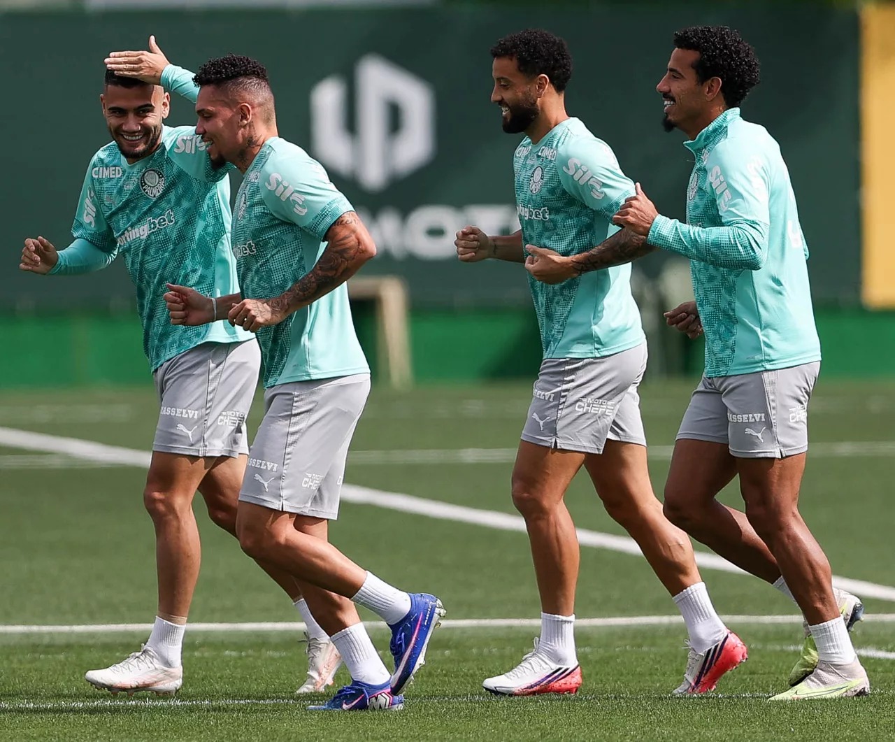 palmeiras