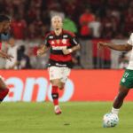 palmeiras flamengo