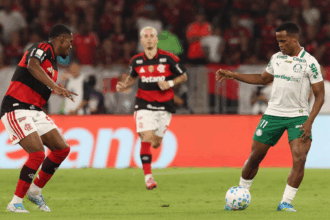 palmeiras flamengo