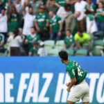 Palmeiras flaco lopez