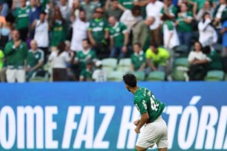 Palmeiras flaco lopez