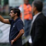 Palmeiras abel