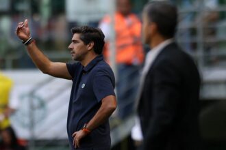 Palmeiras abel