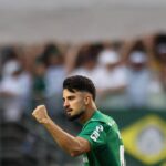 Palmeiras