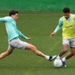 Palmeiras