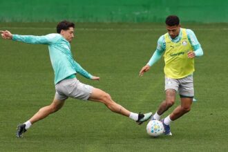 Palmeiras