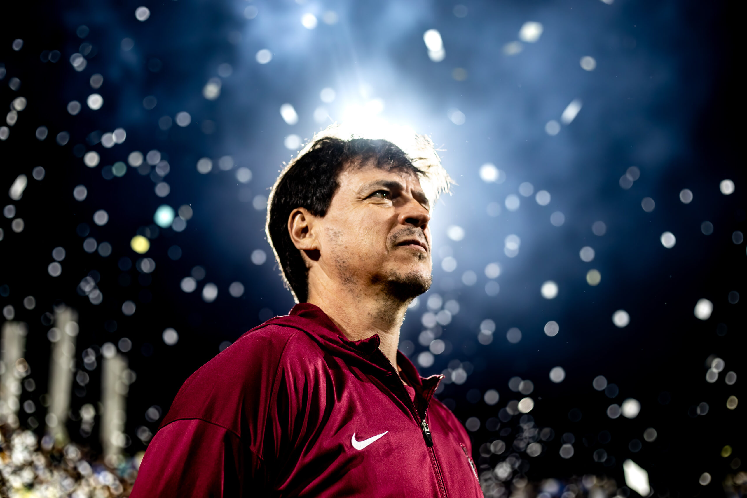 Fernando diniz