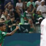 palmeiras