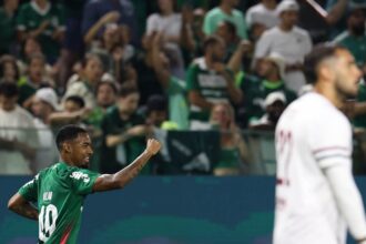 palmeiras