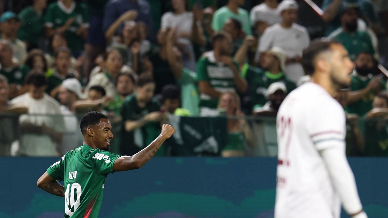 palmeiras