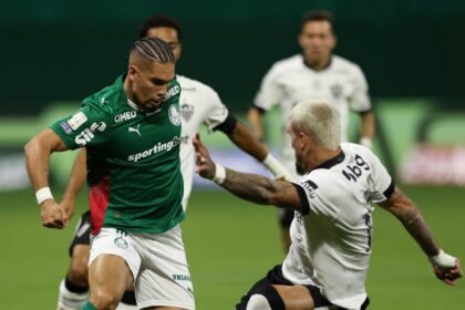 paulinho palmeiras