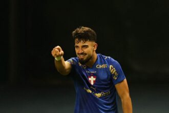 palmeiras flaco lopez