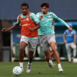 Palmeiras
