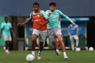 Palmeiras