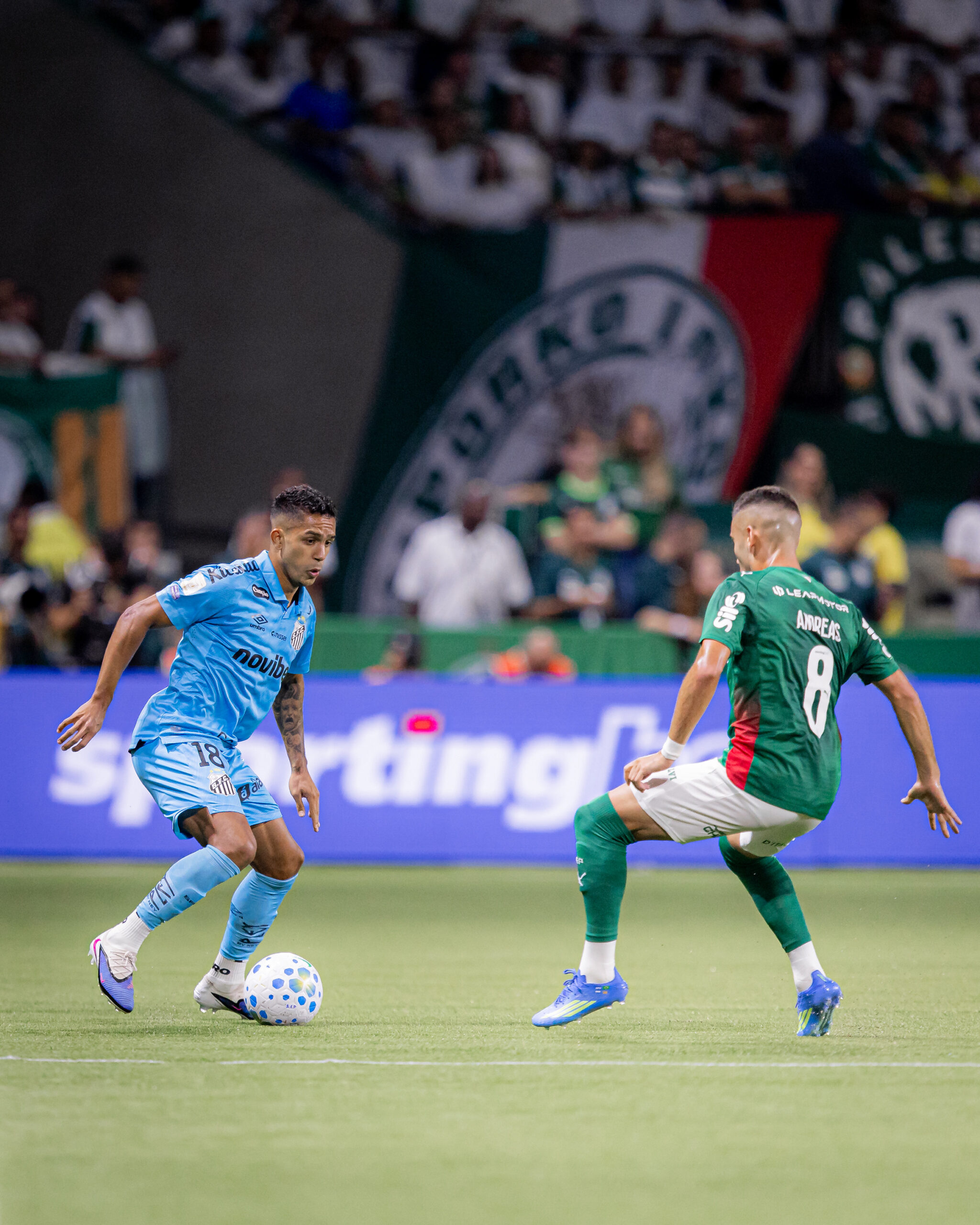 Santos x palmeiras