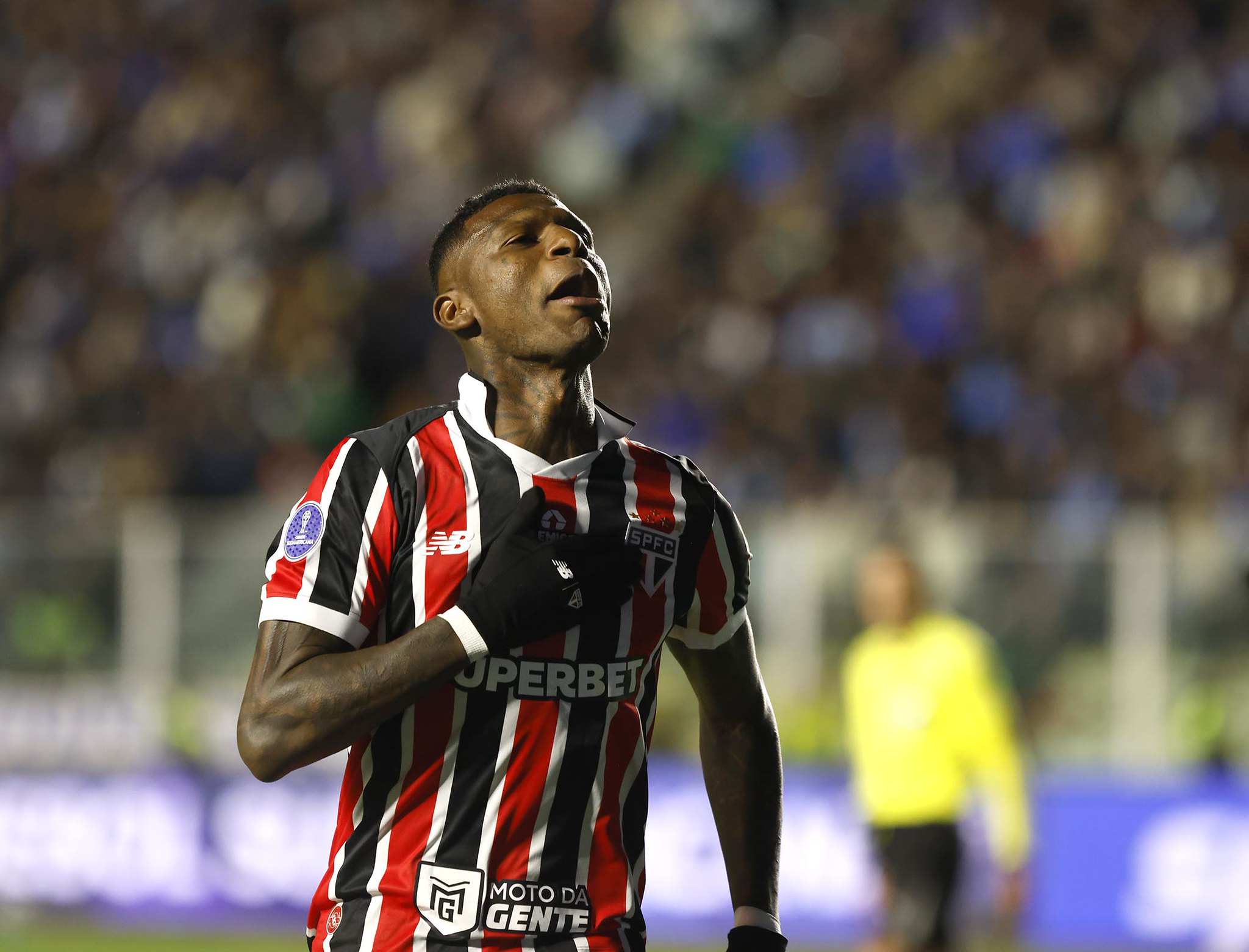 sao paulo arboleda