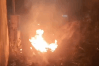 Incêndio atinge terreno no Jardim Irajá e vigilantes acionam corpo de bombeiros