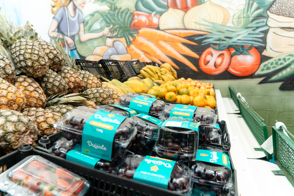 População de São Bernardo já pode trocar plásticos e garrafas pet por alimentos