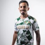 sao paulo palmeiras