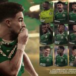 palmeiras