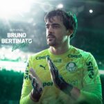palmeiras