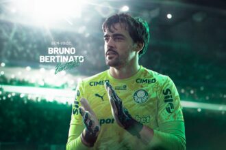 palmeiras