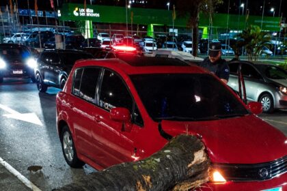 Jeep Renegade perdeu o controle da direção e atingiu uma moto; na sequência, automóvel subiu no canteiro e colidiu contra coqueiro, que caiu sobre um Nissan Tiida