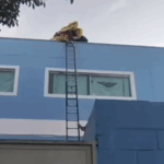 Ação rápida da GCM mobiliza agentes após suspeita de queda de balão em creche na Vila Vivaldi