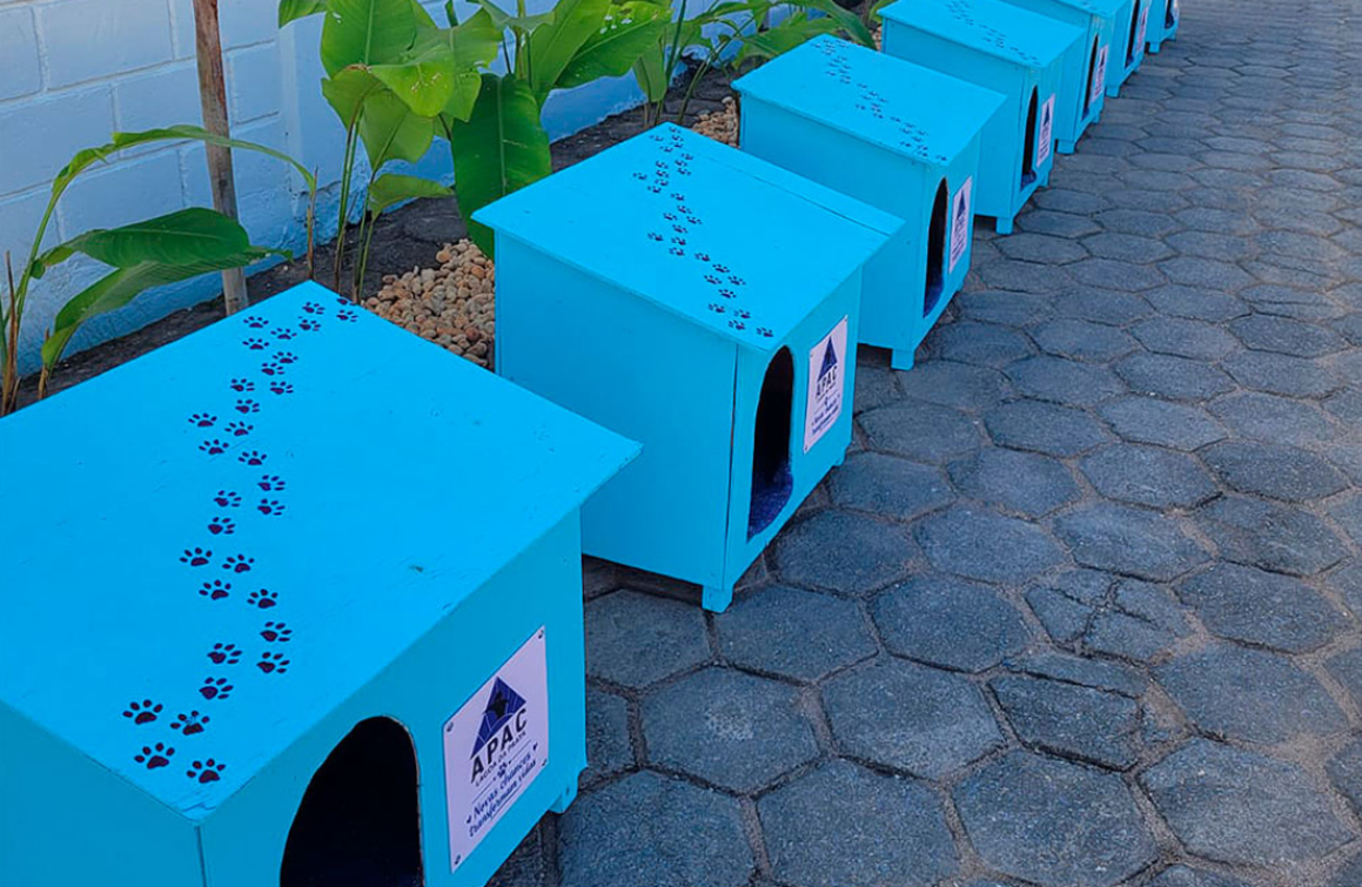 Detentos em MG transformam madeira reciclada em casinhas para cães e gatos de rua