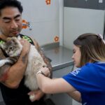 São Caetano promove ação de vacinação antirrábica nesta semana
