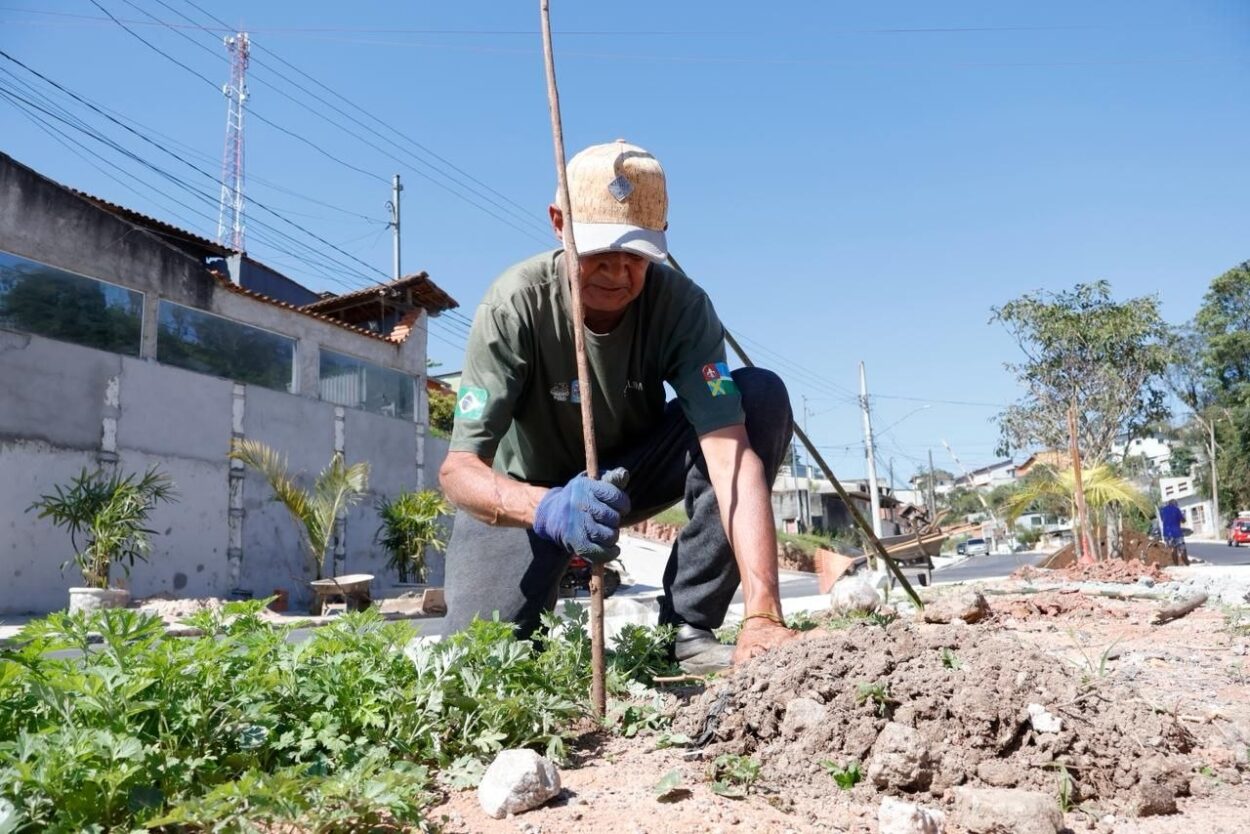 Prefeitura de Ribeirão Pires realiza plantio de 100 árvores na Avenida Flórida