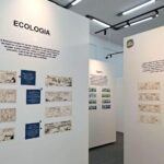 Secretaria de Cultura de São Caetano realiza exposição sobre os 50 anos de Cubinho, criação do cartunista Mario Mastrotti