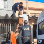 GCM resgata cachorro preso em telhado de casa em São Bernardo