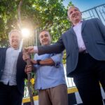 Ribeirão Pires inicia projeto para substituir árvores que oferecem risco à população e à rede elétrica