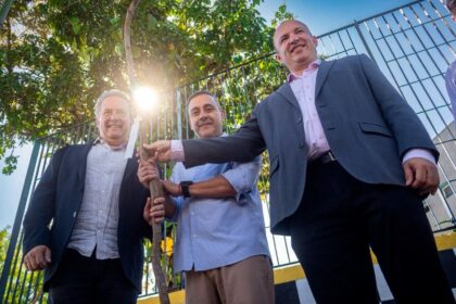 Ribeirão Pires inicia projeto para substituir árvores que oferecem risco à população e à rede elétrica