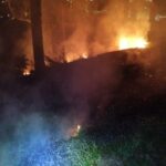 Queimadas nas rodovias: saiba o que fazer ao encontrar sinais de incêndio