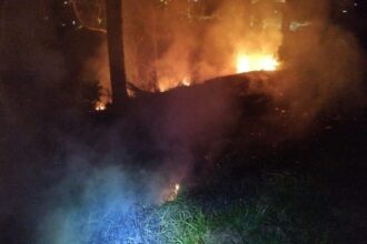 Queimadas nas rodovias: saiba o que fazer ao encontrar sinais de incêndio
