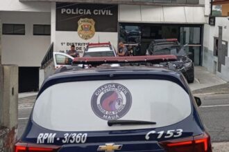 GCM de Mauá prende agressor de mulher após acionamento do botão ANA