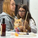 Festival do Chocolate 2026 by Chocolândia terá manhã de bem-estar, sustentabilidade e proteção animal em Ribeirão Pires neste domingo (16)