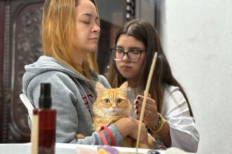 Festival do Chocolate 2026 by Chocolândia terá manhã de bem-estar, sustentabilidade e proteção animal em Ribeirão Pires neste domingo (16)