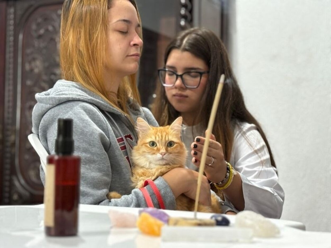 Festival do Chocolate 2026 by Chocolândia terá manhã de bem-estar, sustentabilidade e proteção animal em Ribeirão Pires neste domingo (16)